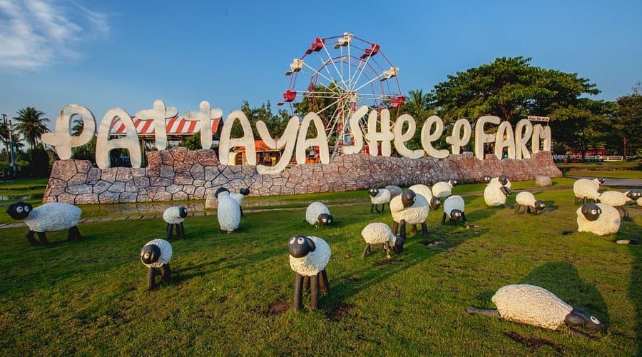 Pattaya Sheep Farm in Thailand