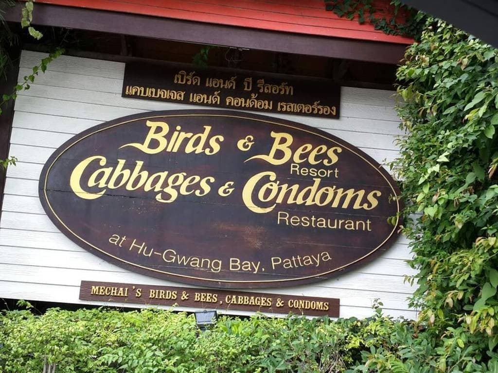Cabbage & Condoms in Thailand