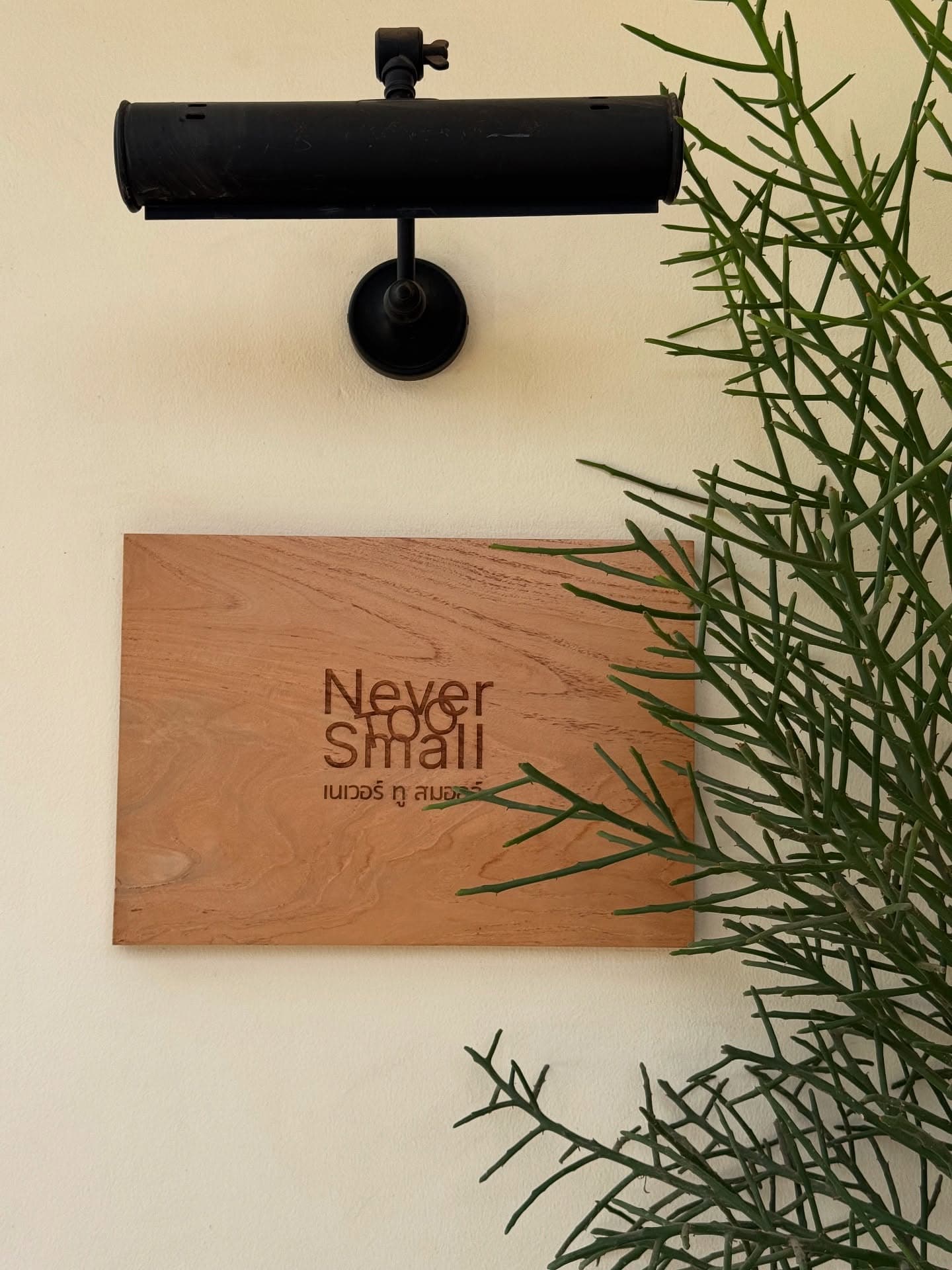 Never to small (Kohlan) in Thailand