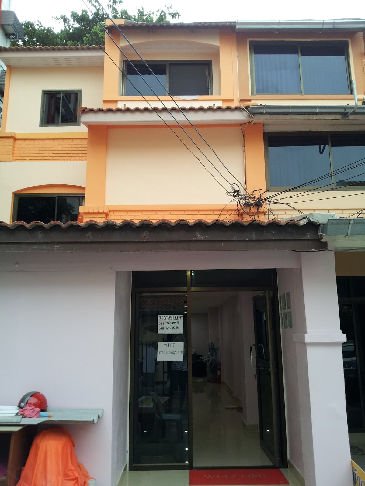 Cat guest house in Thailand